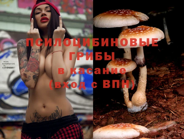 МДПВ Карпинск