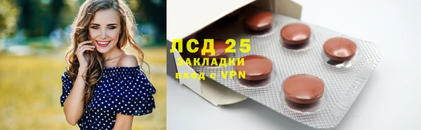 индика Иннополис
