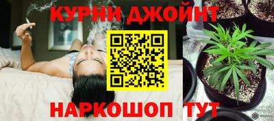 сатива Волжск