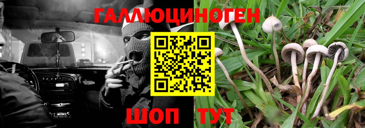 Коркино  Галлюциногенные грибы мухоморы  купить закладку  Вход с VPN 